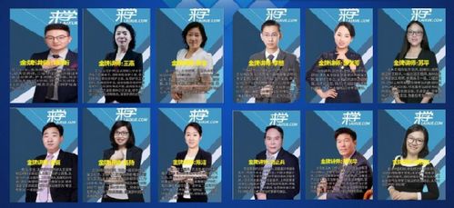 來學(xué)網(wǎng) 網(wǎng)絡(luò)技術(shù)軟件研發(fā)與銷售的實(shí)力探析